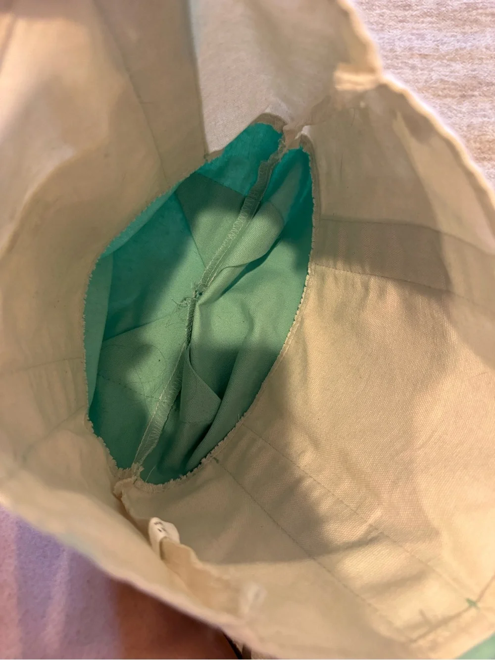 Trader Joe's Cream and Mint Canvas Tote Bag